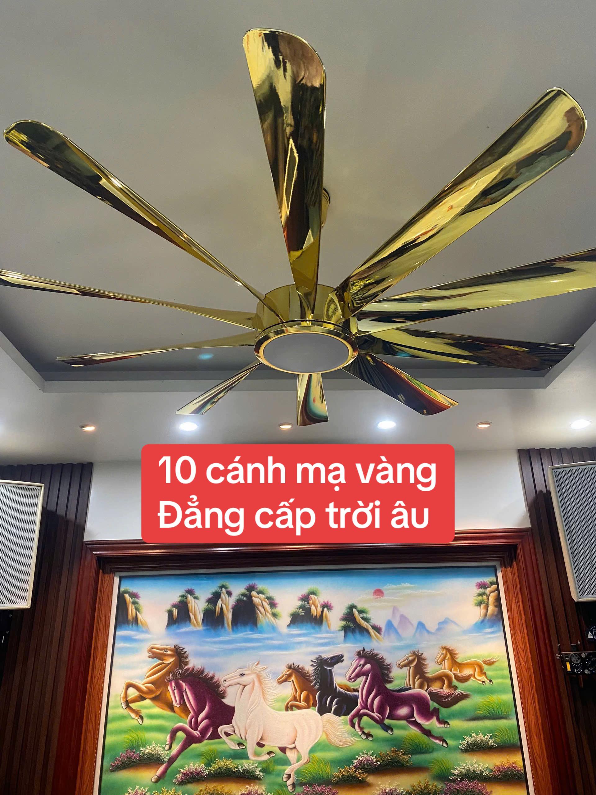 @VUA$QUẠT