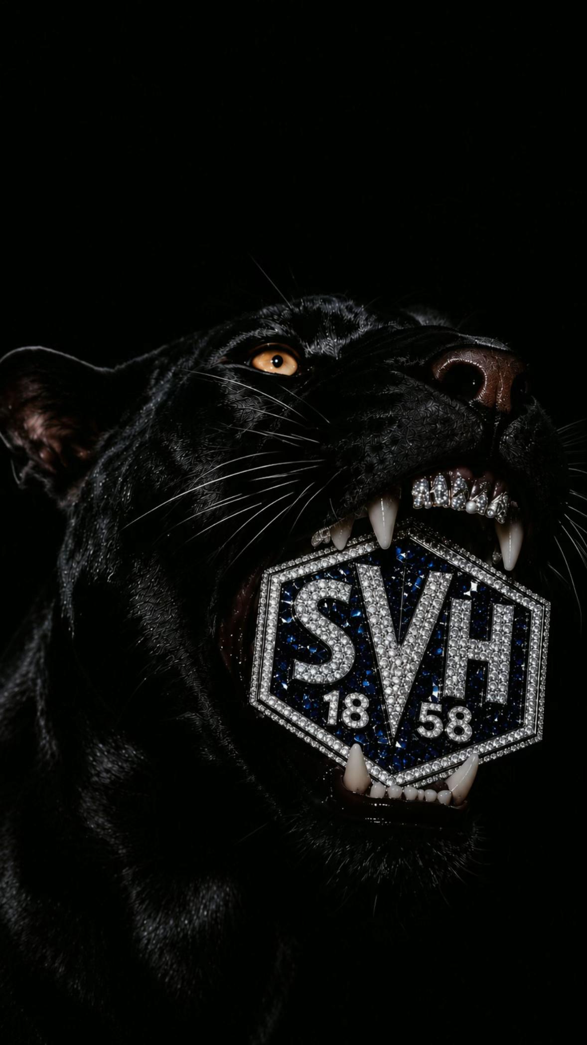 @Svhemelingen_Support