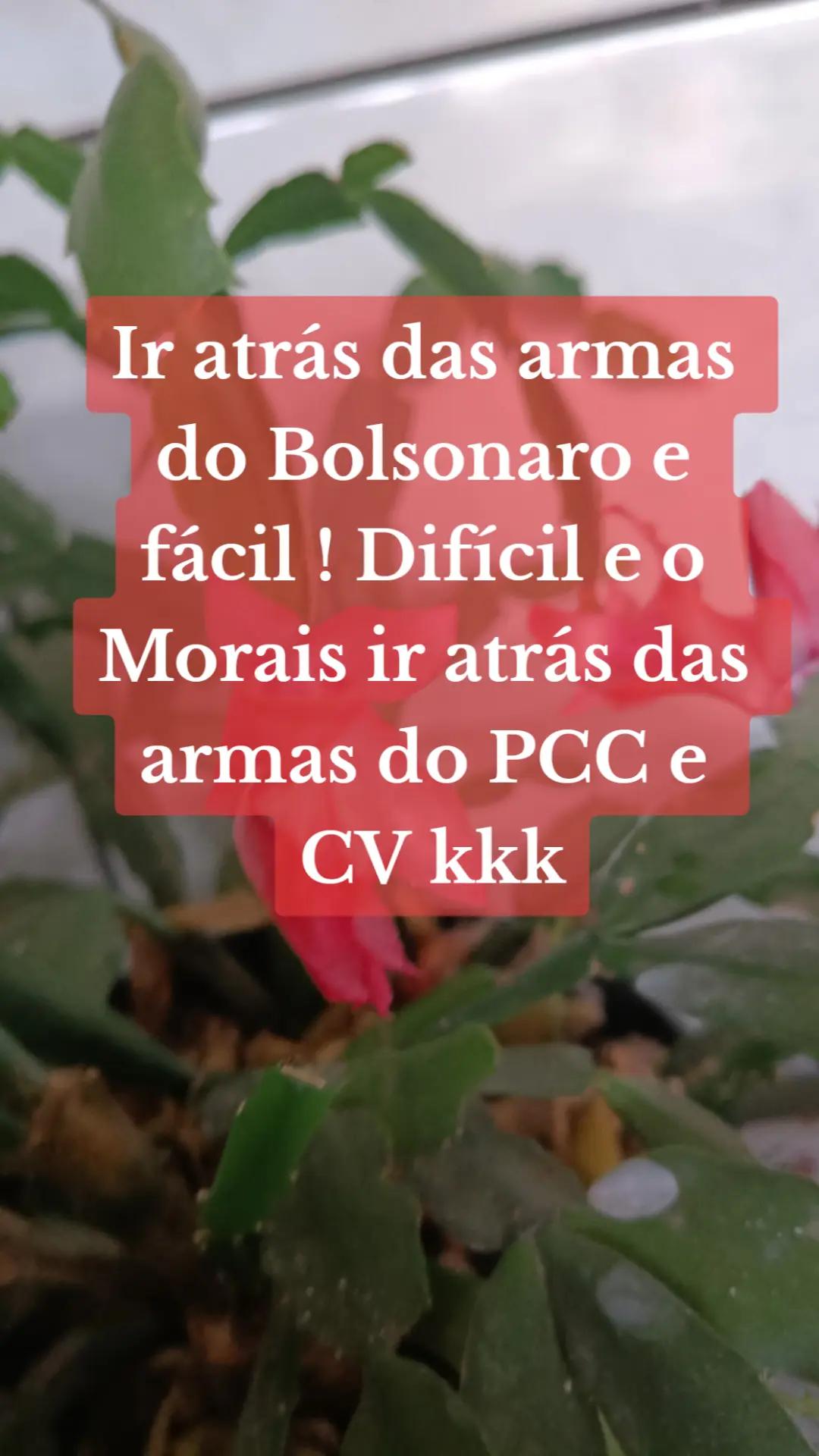 @Penha Reis🇧🇷
