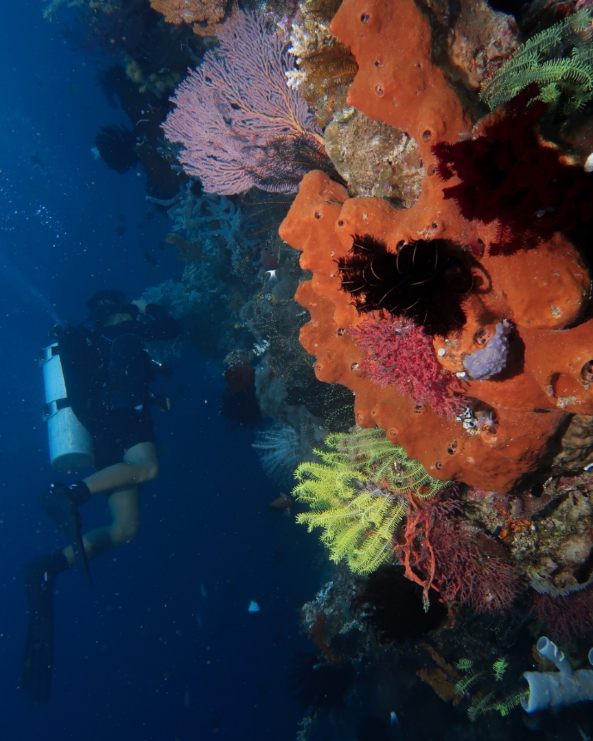 @Scuba Diving with Ara