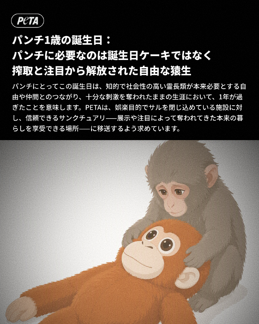 @PETAアジア 動物の倫理的扱いを求める人々の会 JAPAN