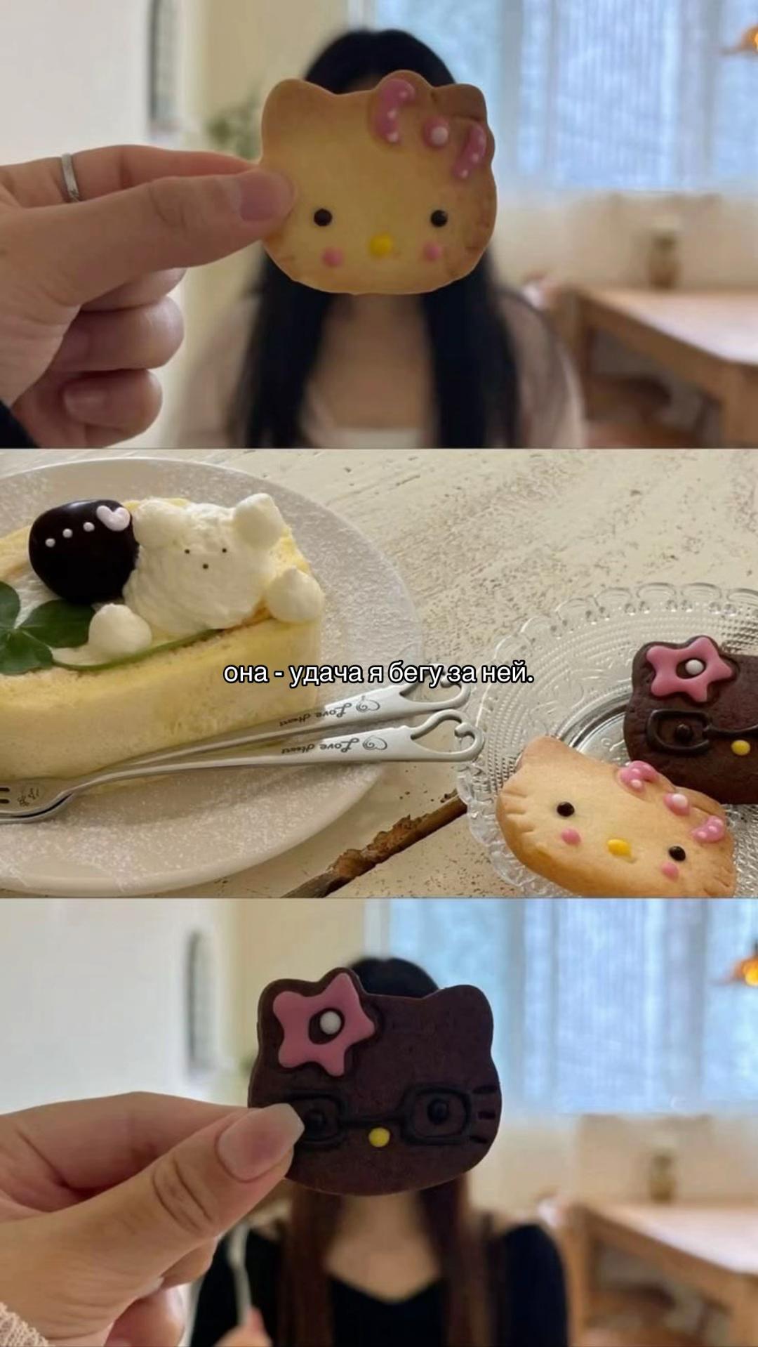 @ᥫ᭡ 다온