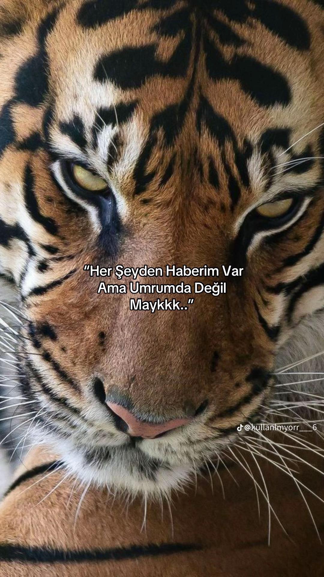 @ozguryilmaz3