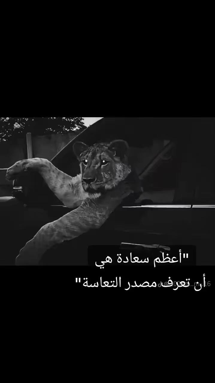 @🦁 scarface 🦁