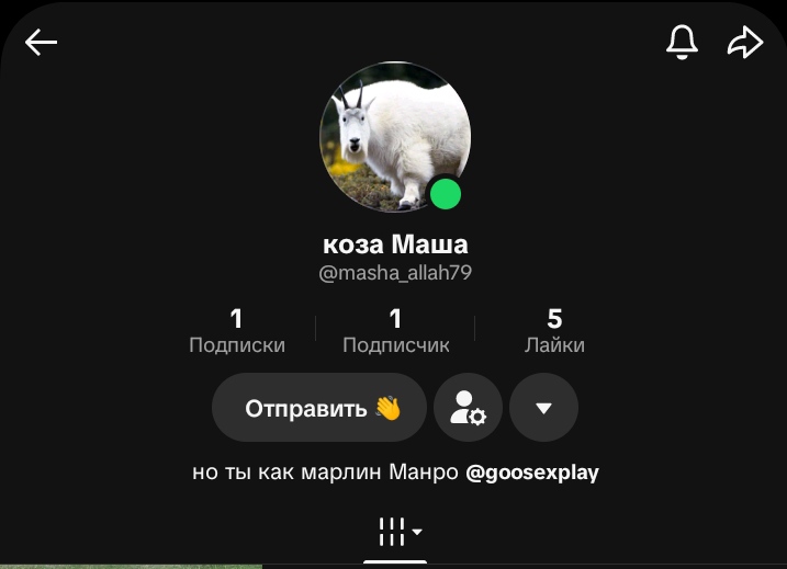 @goosexplay