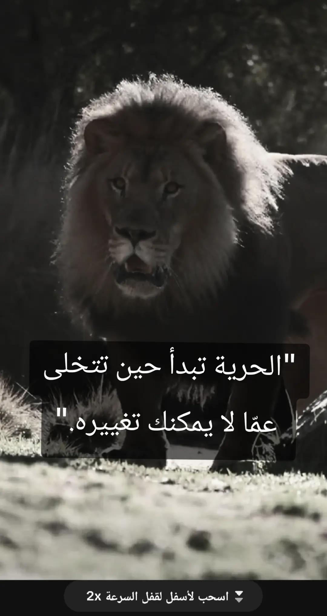 @🦁 scarface 🦁