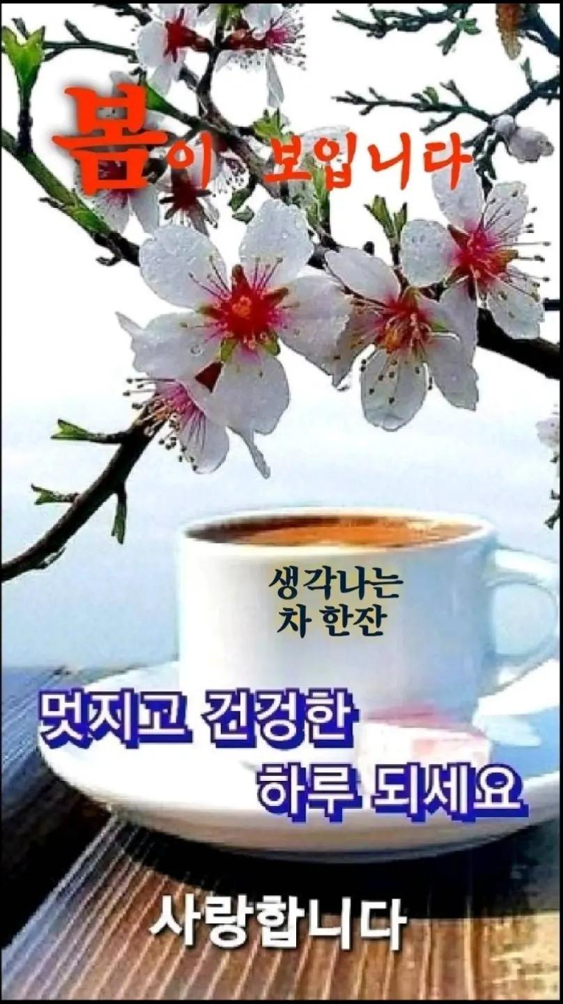 @바라보기
