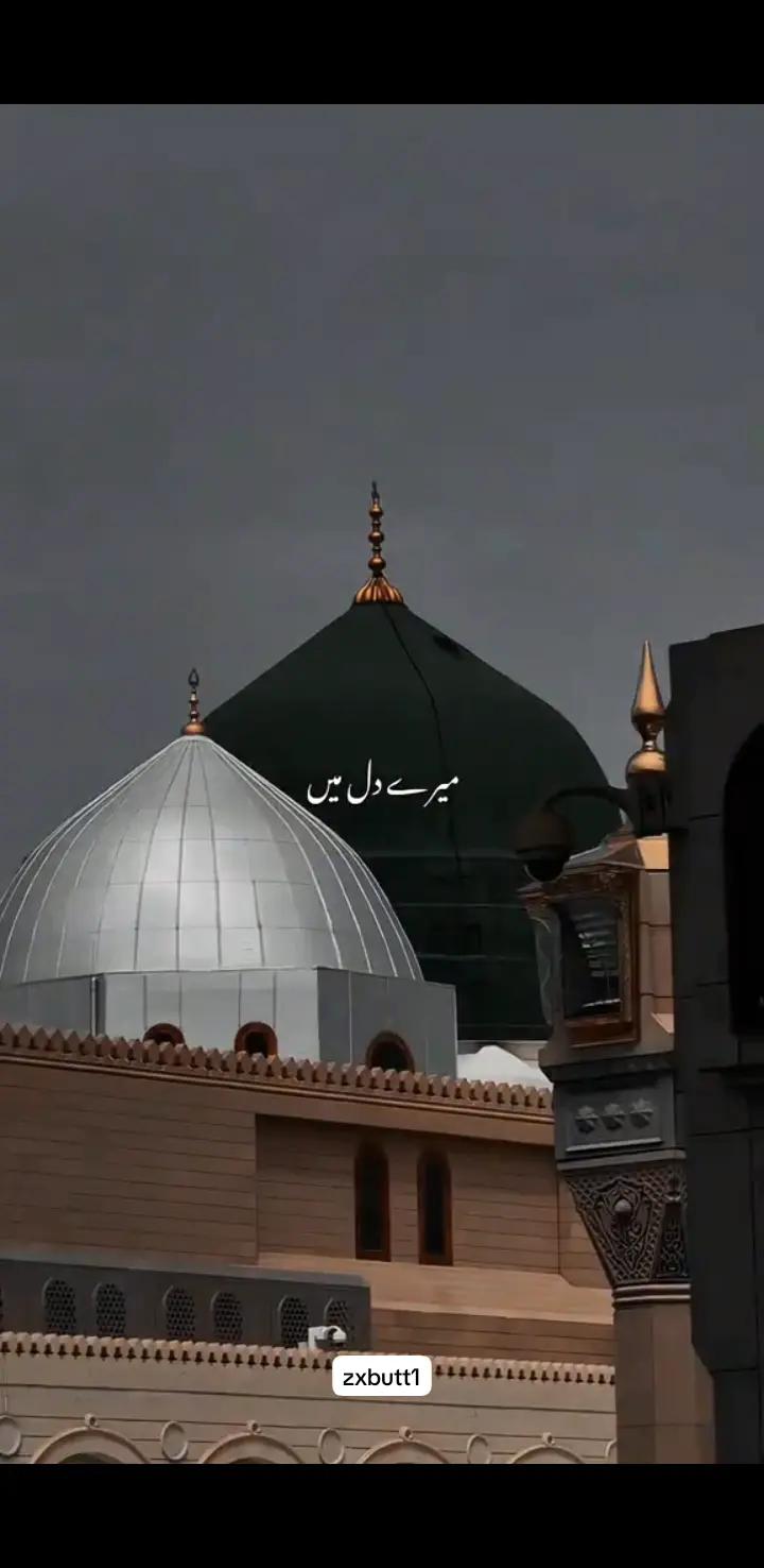 @Z.بٹ🔥🤝🏻