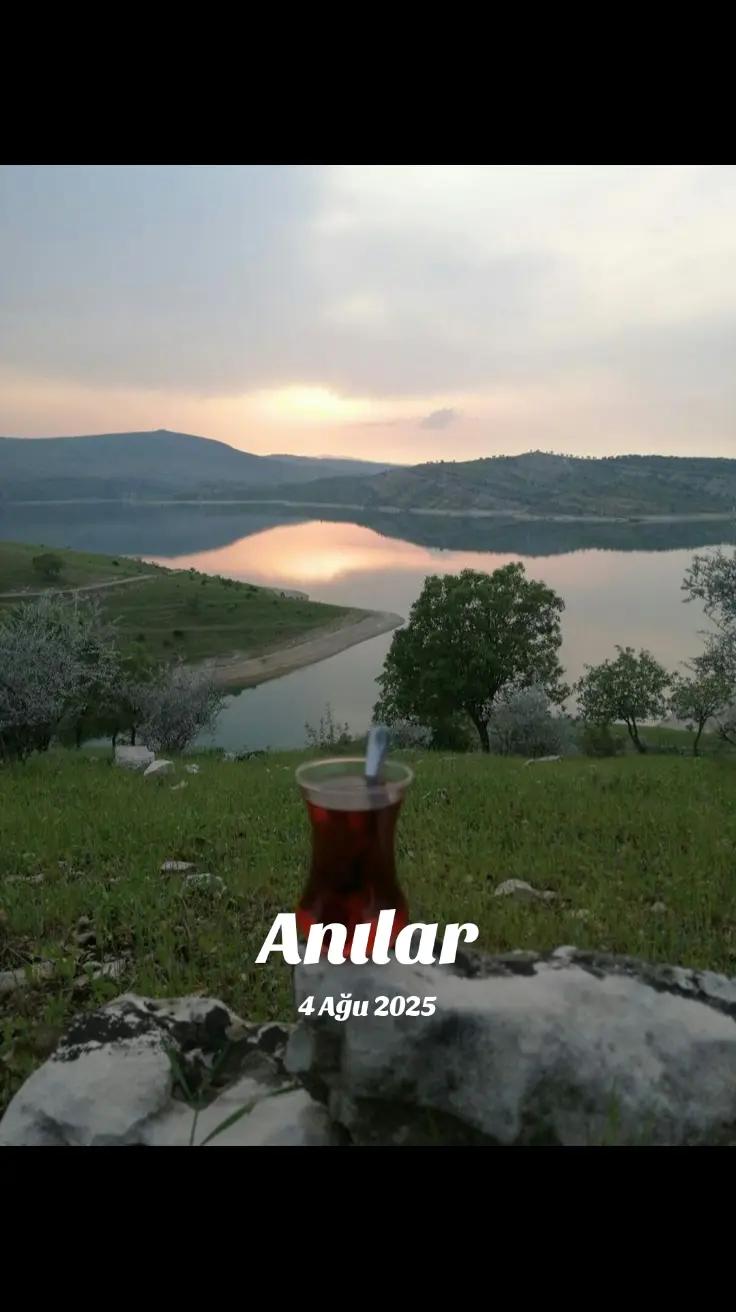 @Kır papatyası 🌼💮🌸🍀🌹