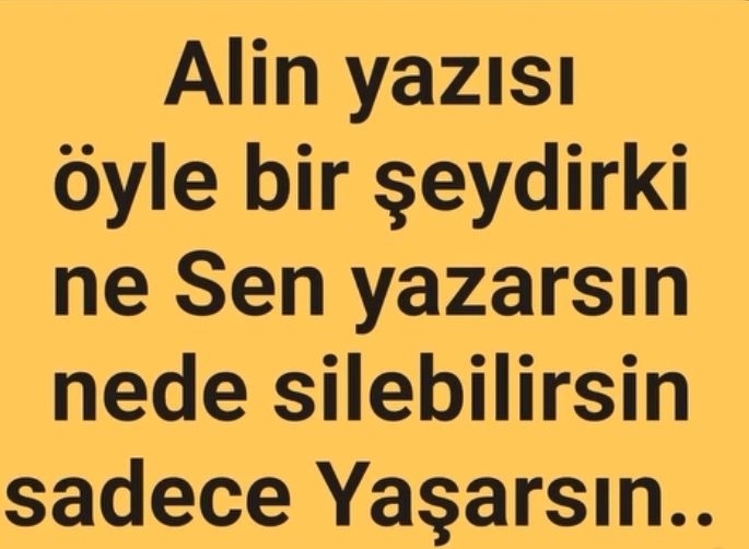 @mecnun