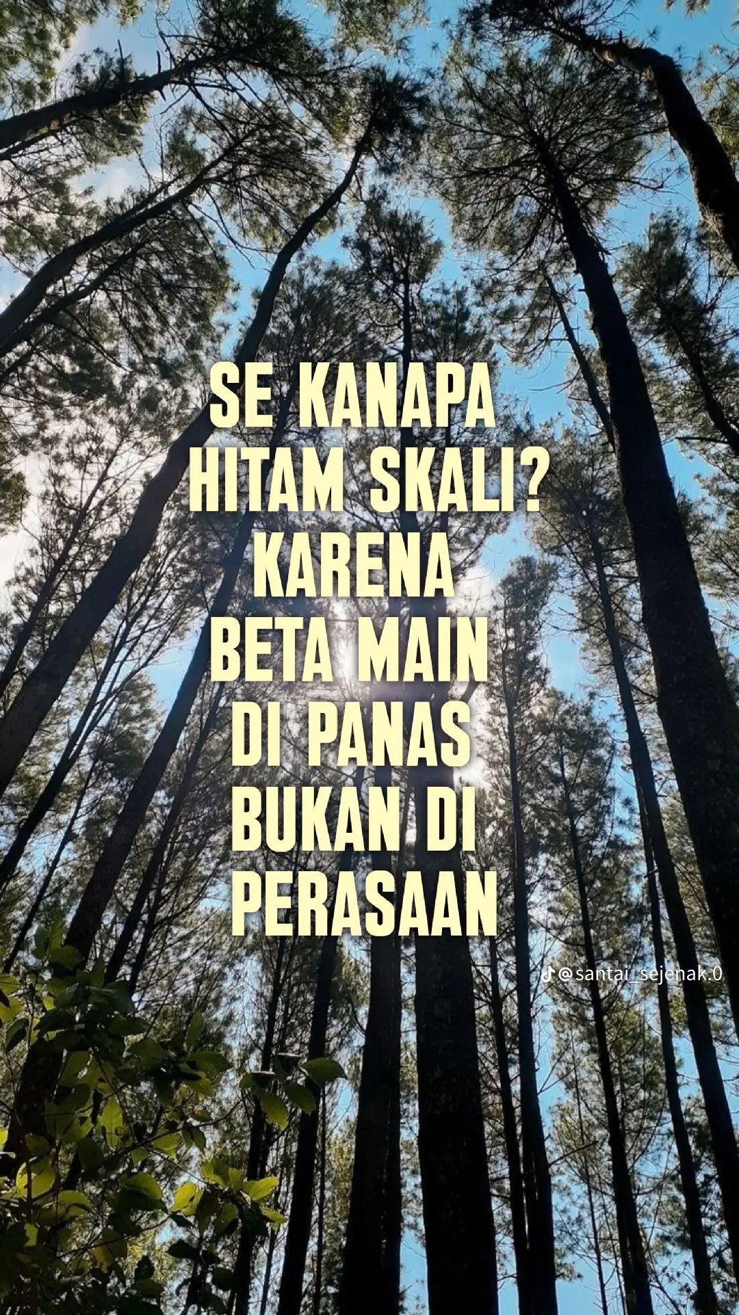 @🥷