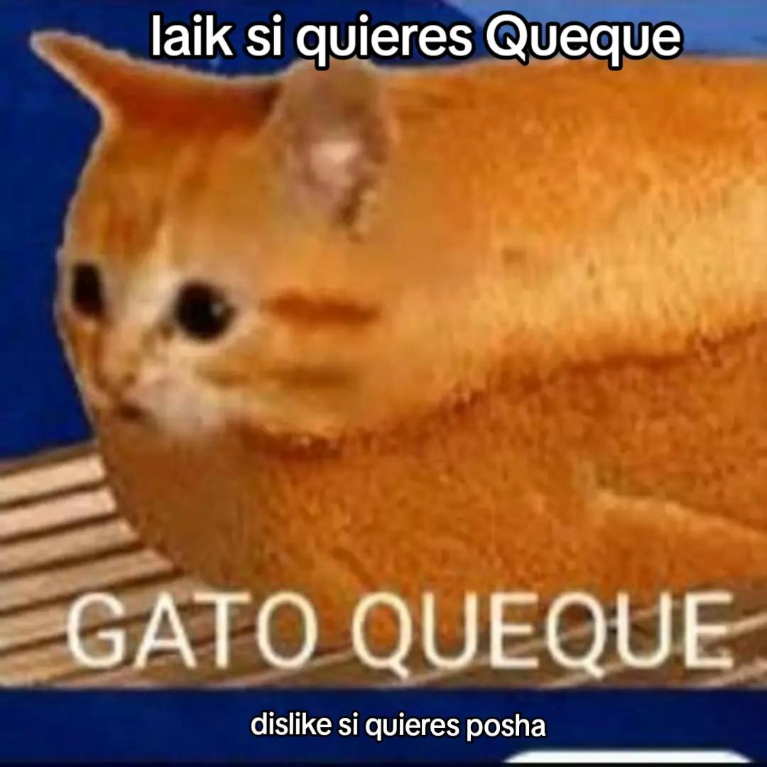 @kitsu.