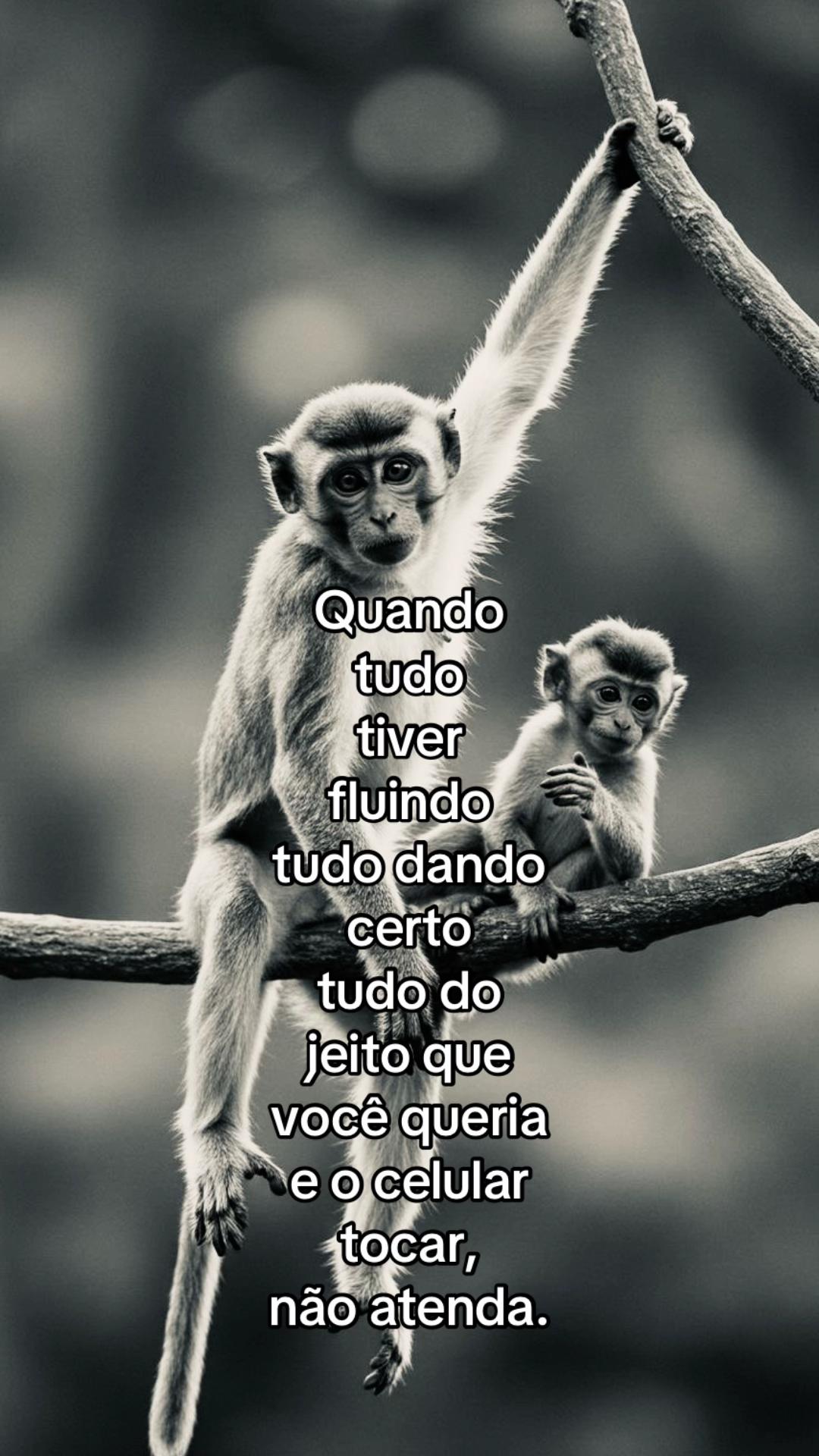 @junin 