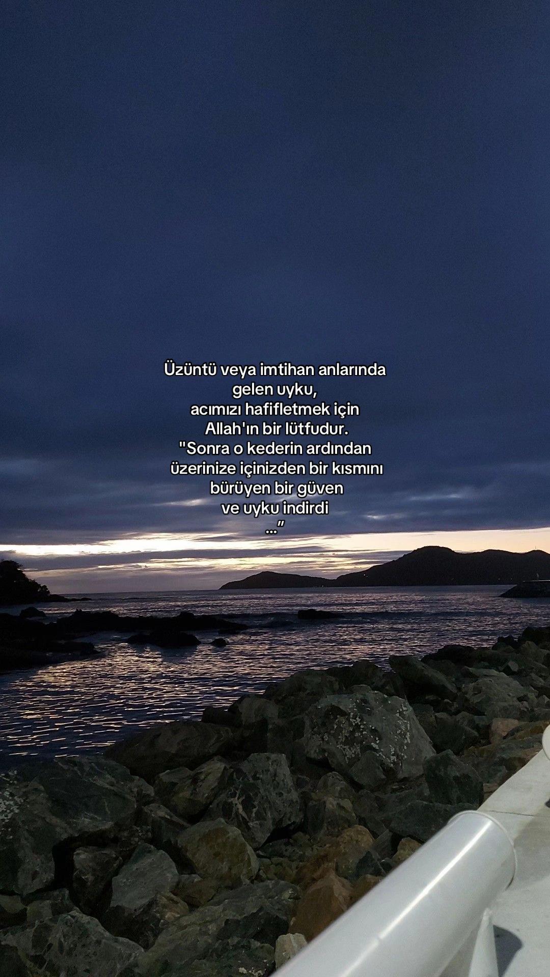 @𝓔𝓵𝓲𝓯