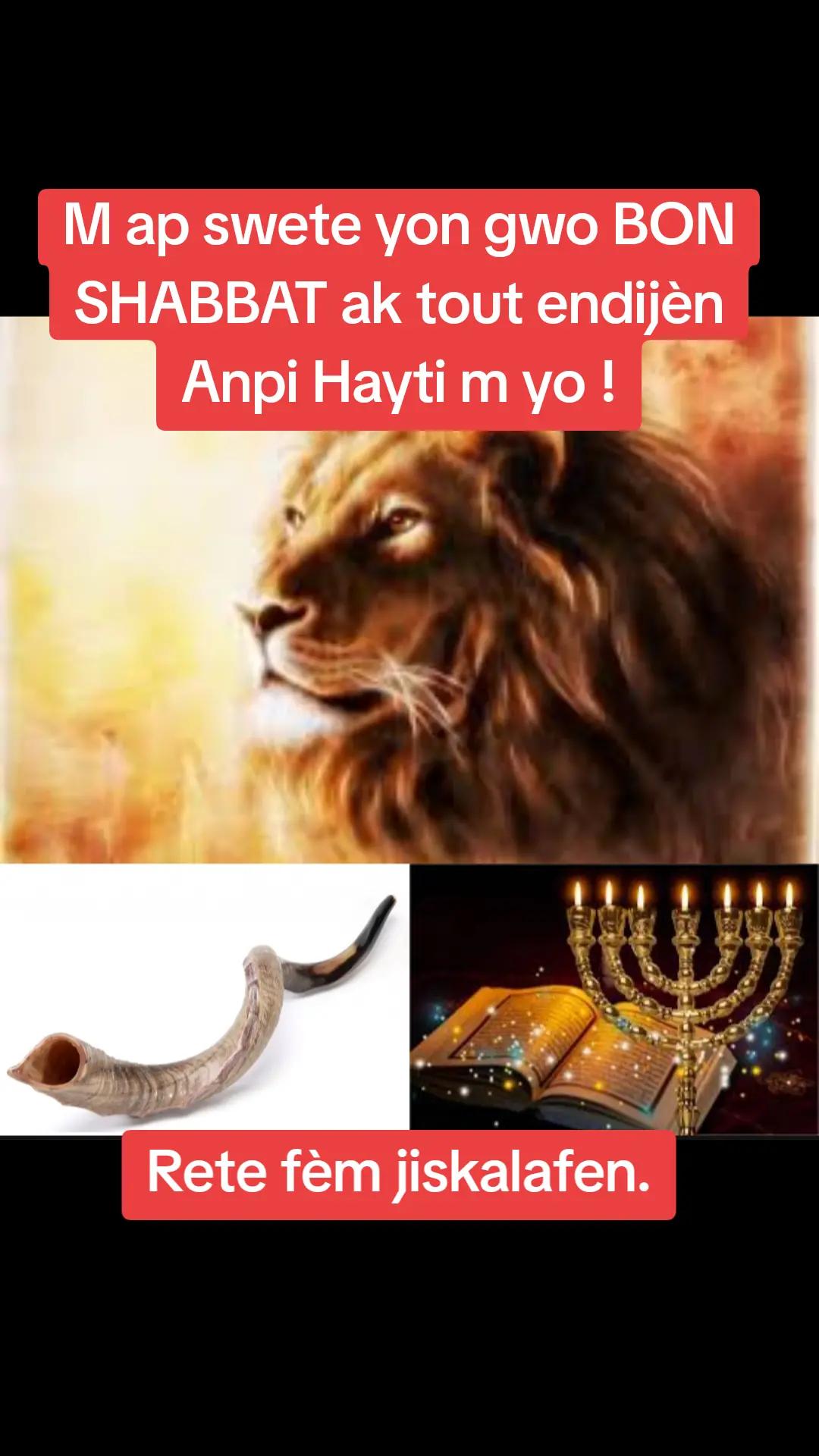 @HaytiLibert&eacute; 📳 +509 42808637