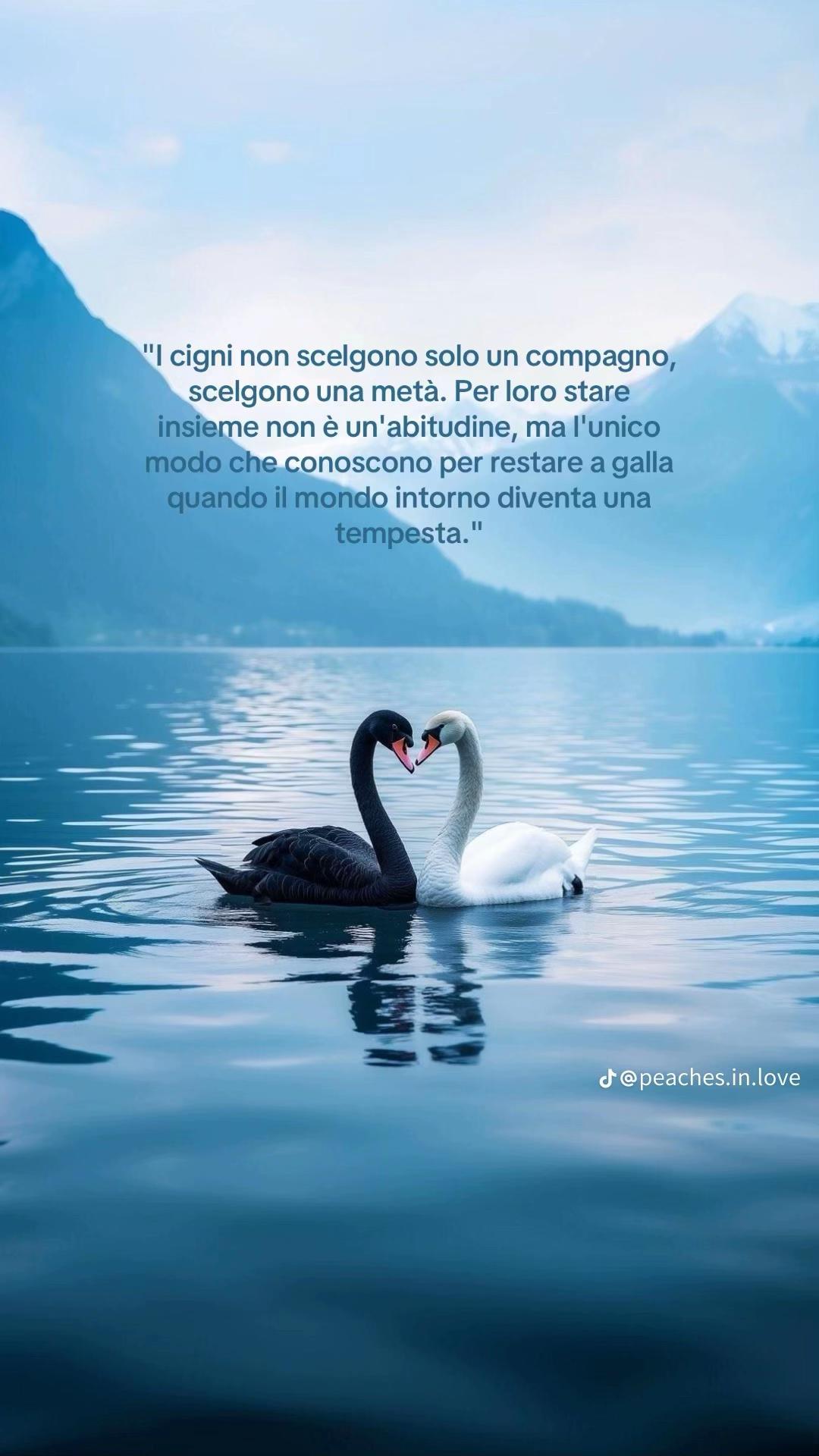 @giuliaaa