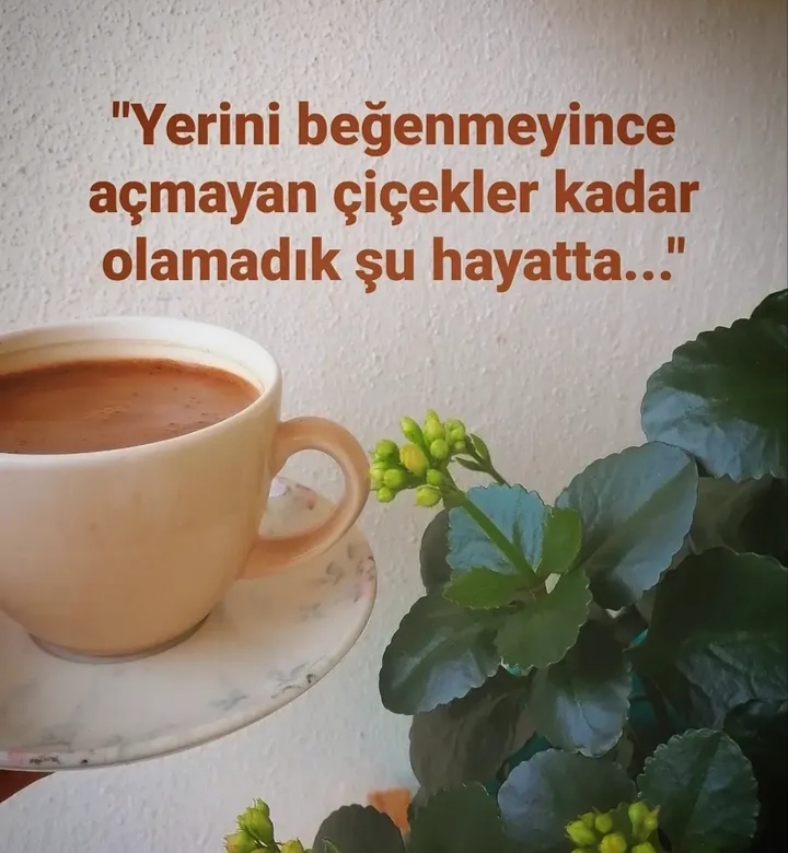 @Zübeyde karakaş 💜💙❤🩵