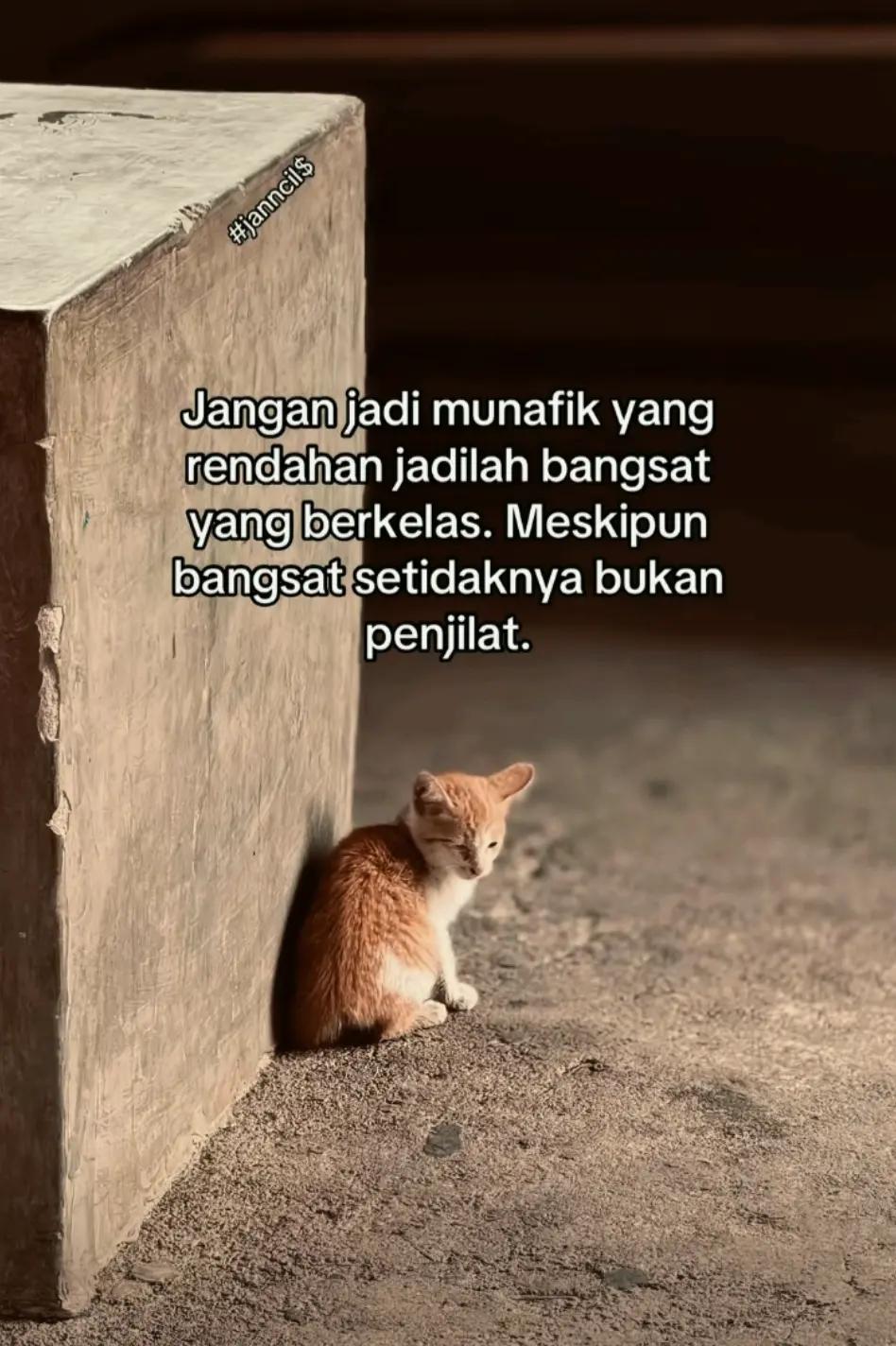 @๐ Si Tampan_Malam ๐ฆ