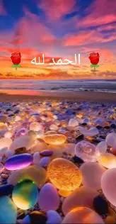 @💫 Mohamed 💫