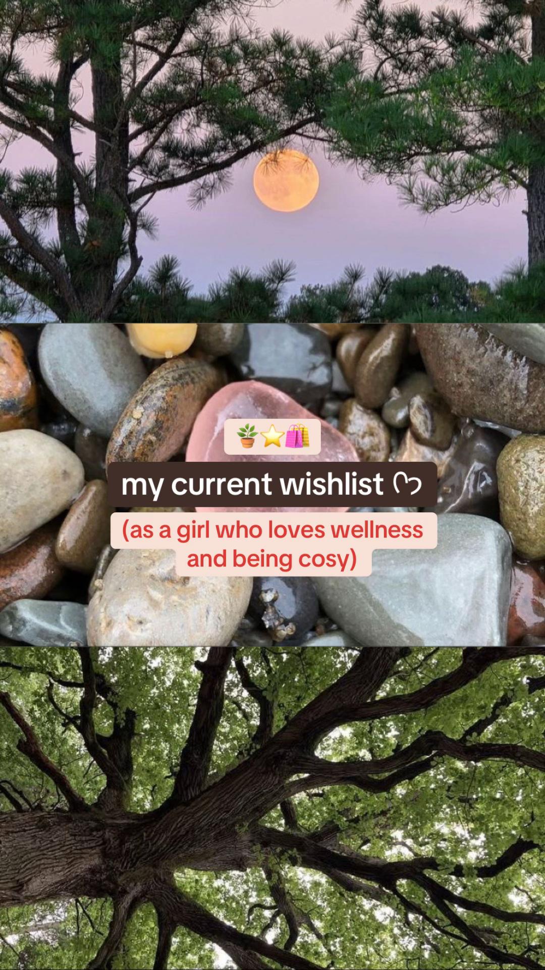 @dusk⋆˚࿔