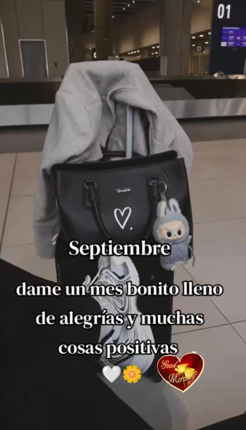 @Luz v