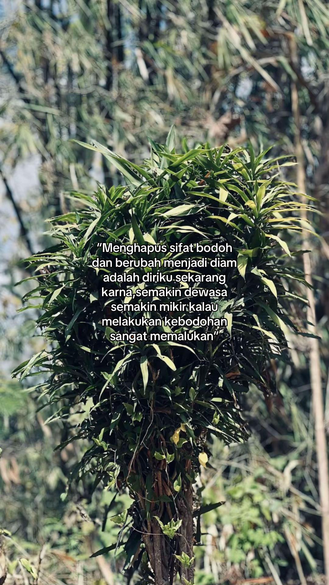 @adit28