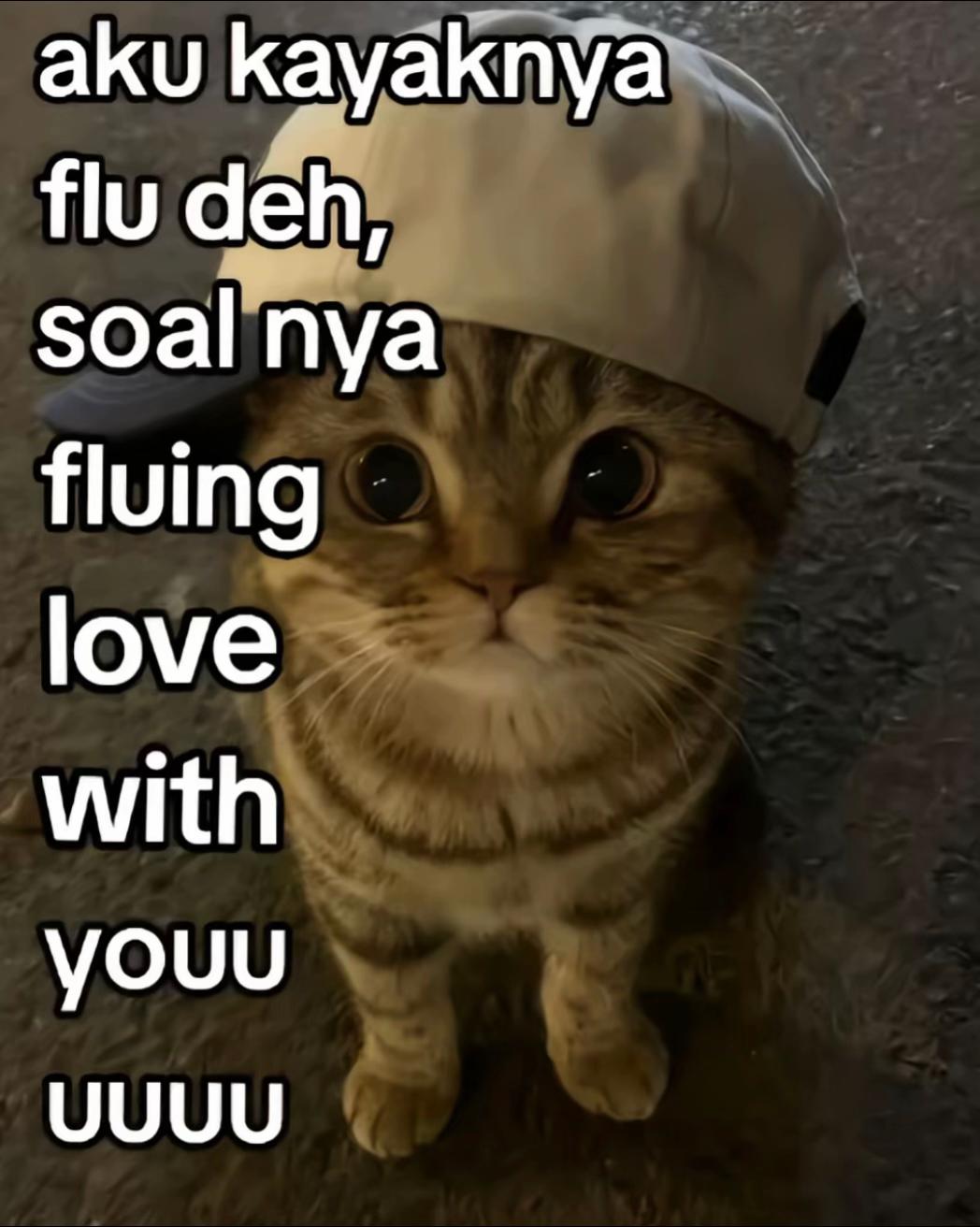 @rj