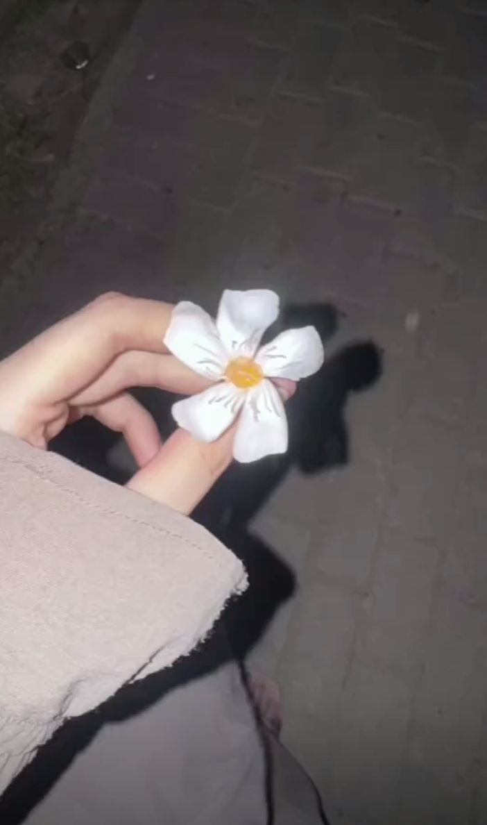@A 🚩