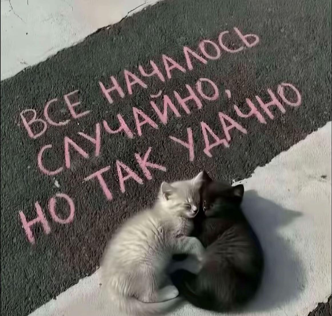 @тгк:настася лайф🍒