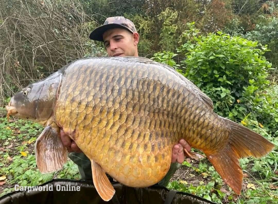 @carpworldonline