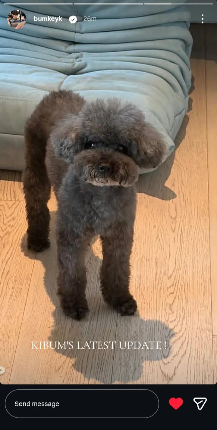 @윤민자 🧿