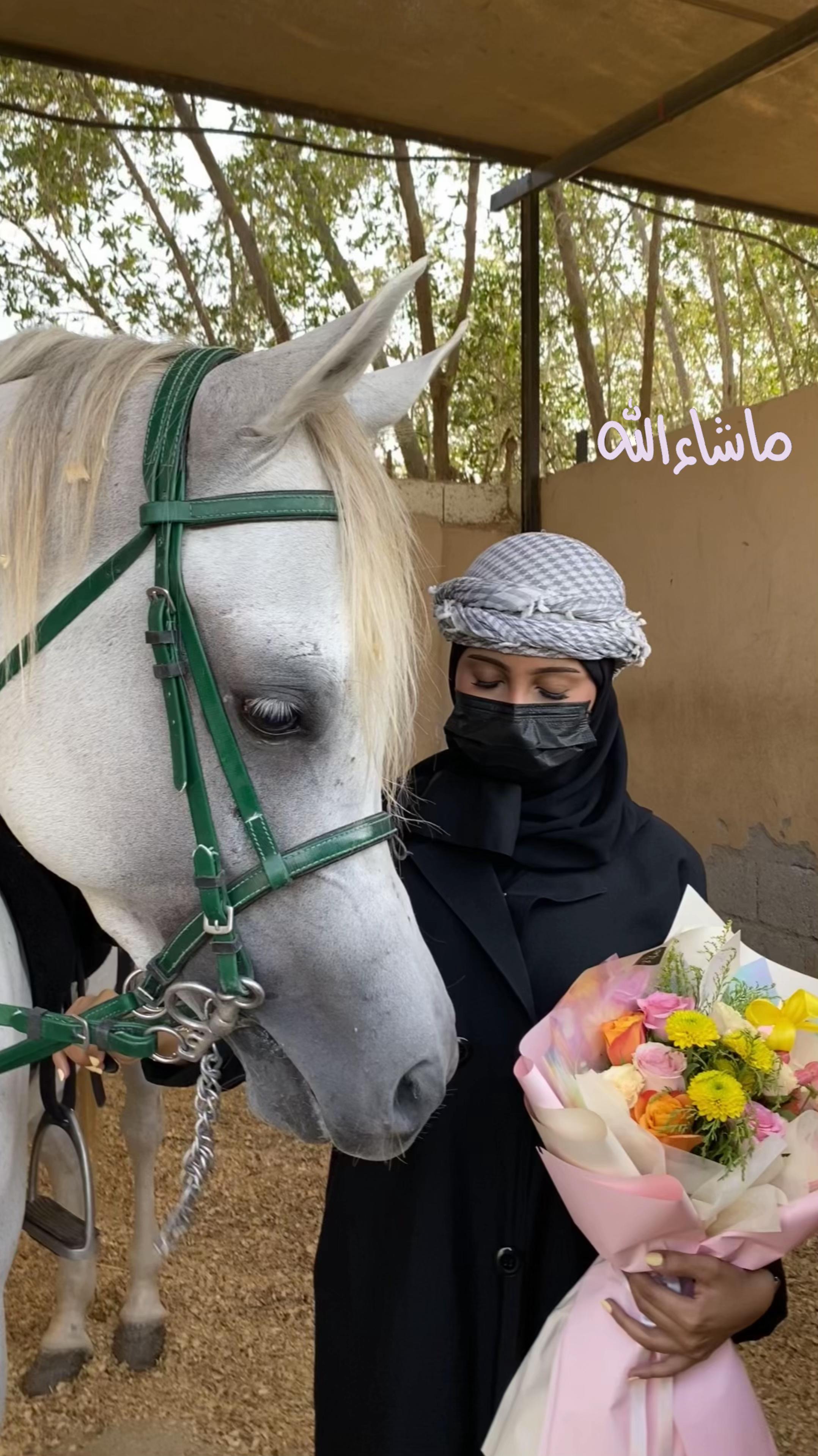 @Toly 🐎.