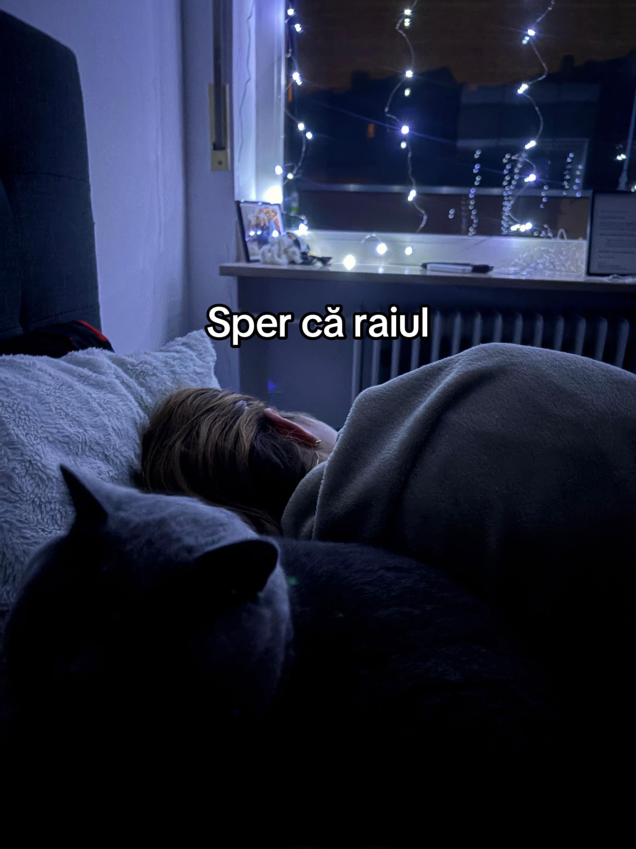 @Valentin Dan