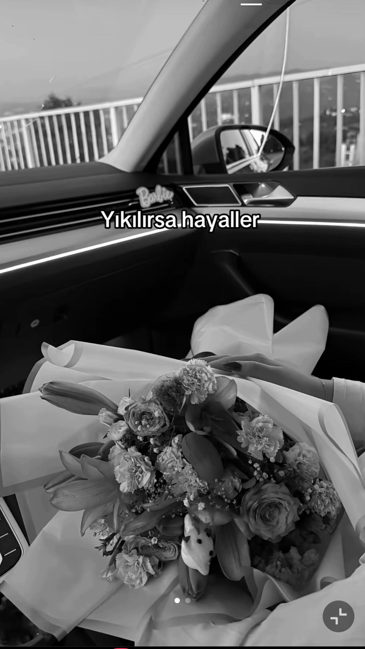 @özcan 03