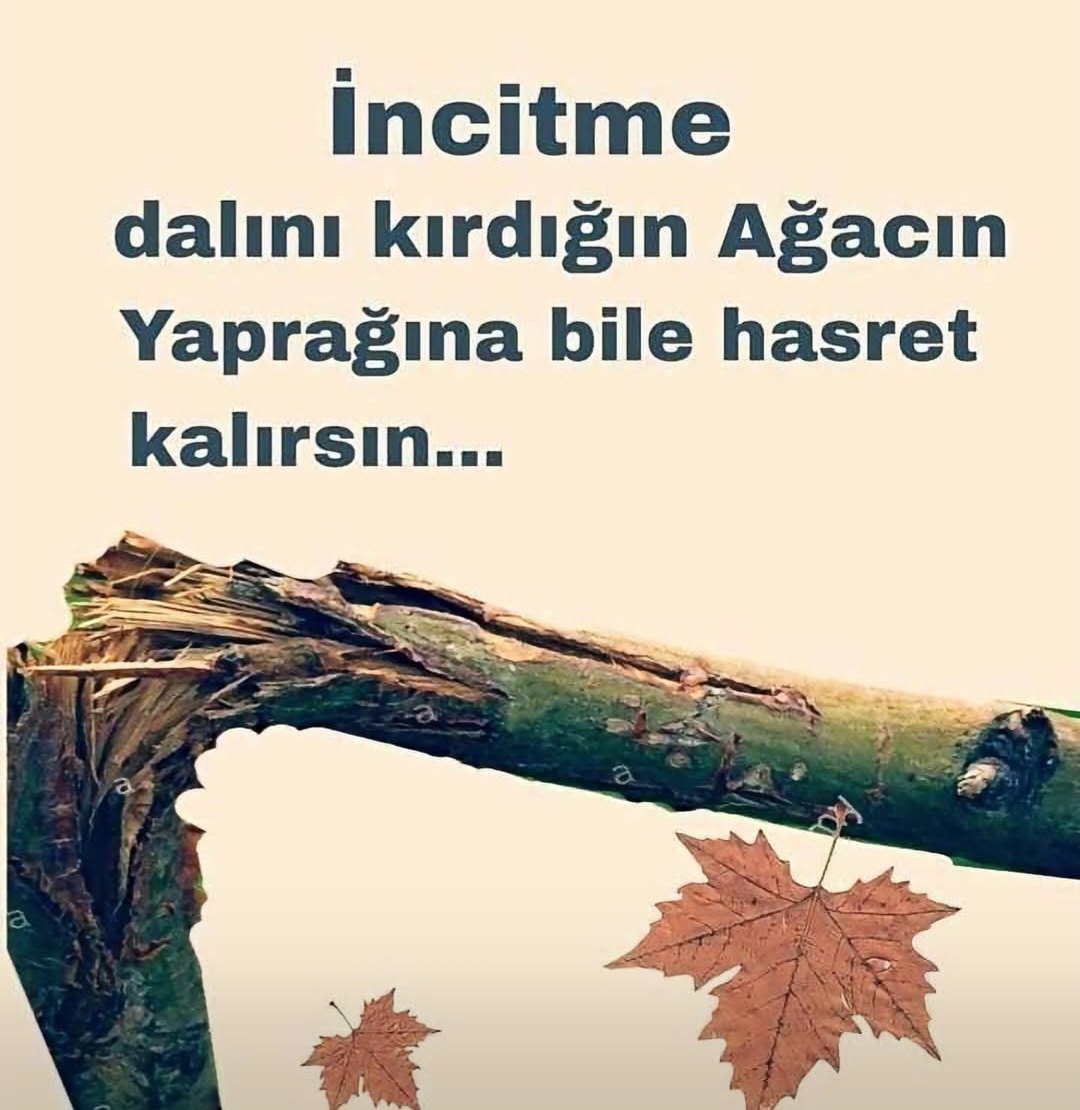 @Cemal38🇹🇷🇩🇪 🇹🇷