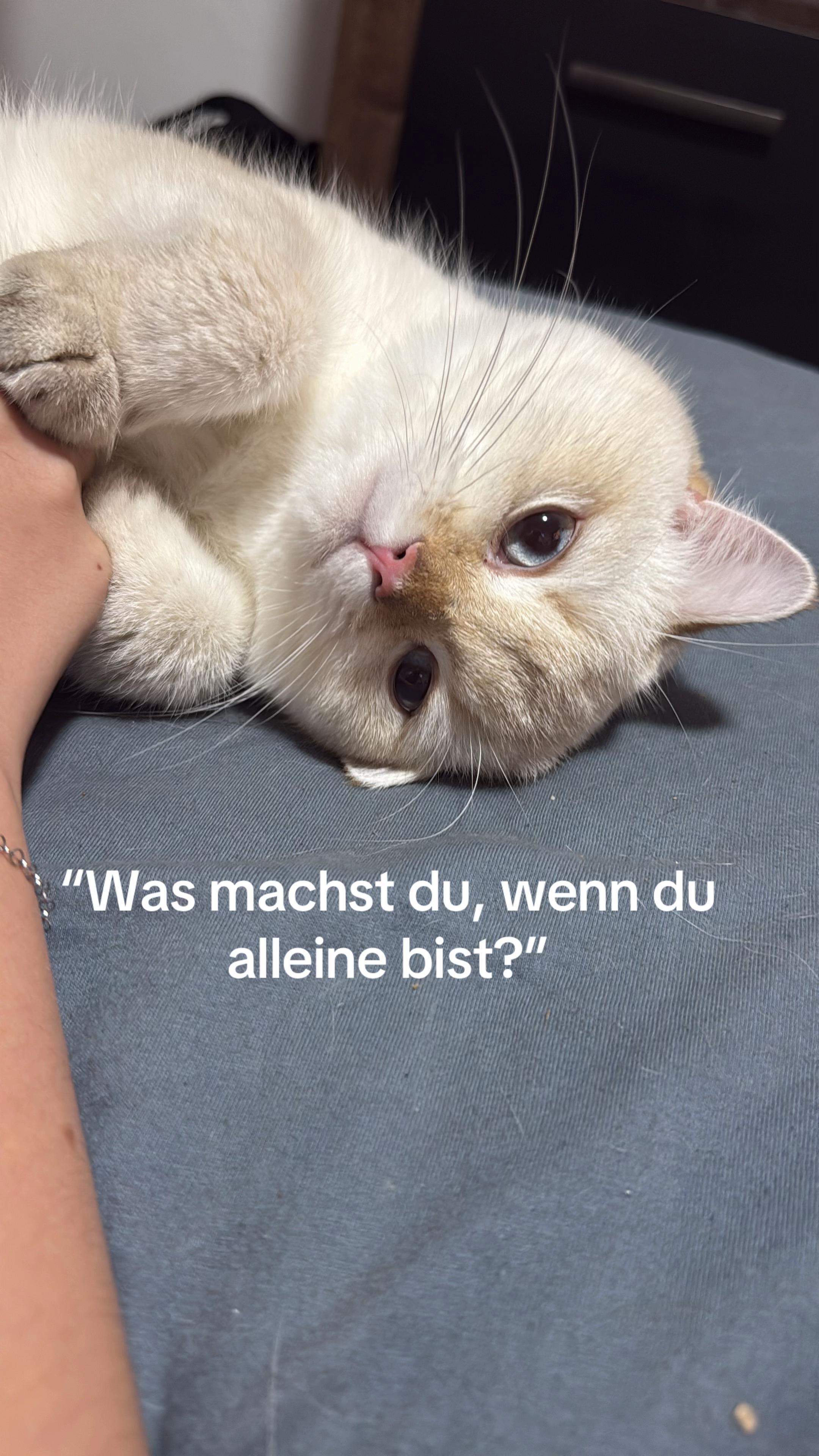 @j̆̈ȃ̈s̆̈s̑̈y̆̈