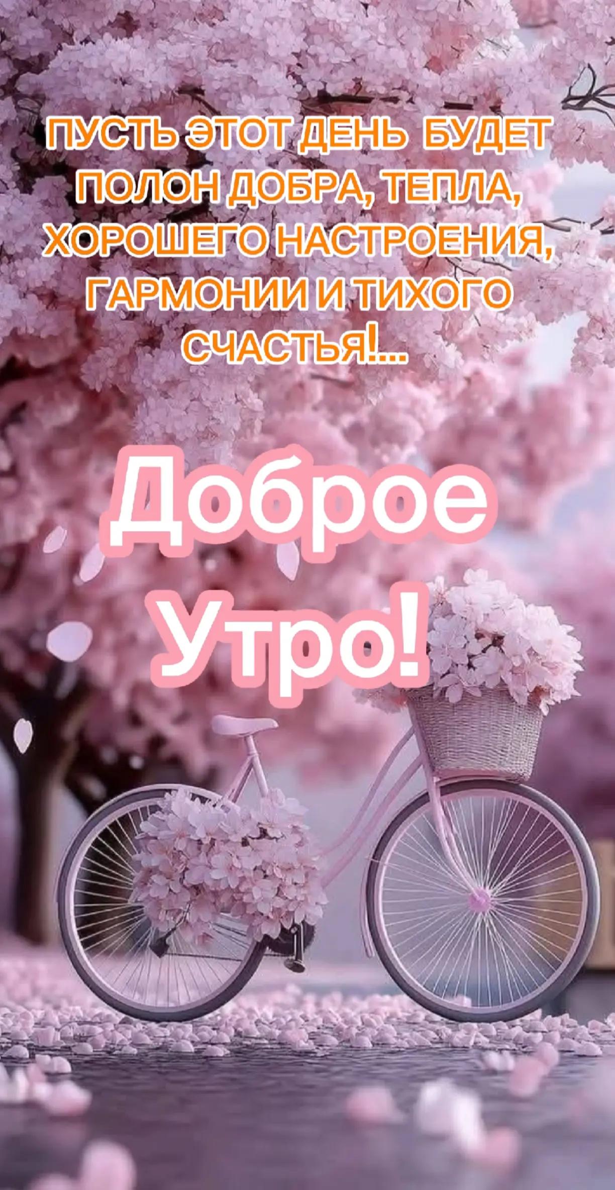 @Nataly