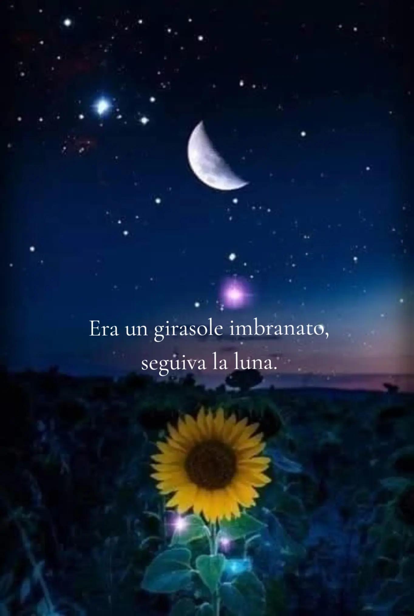 @Manola ♡