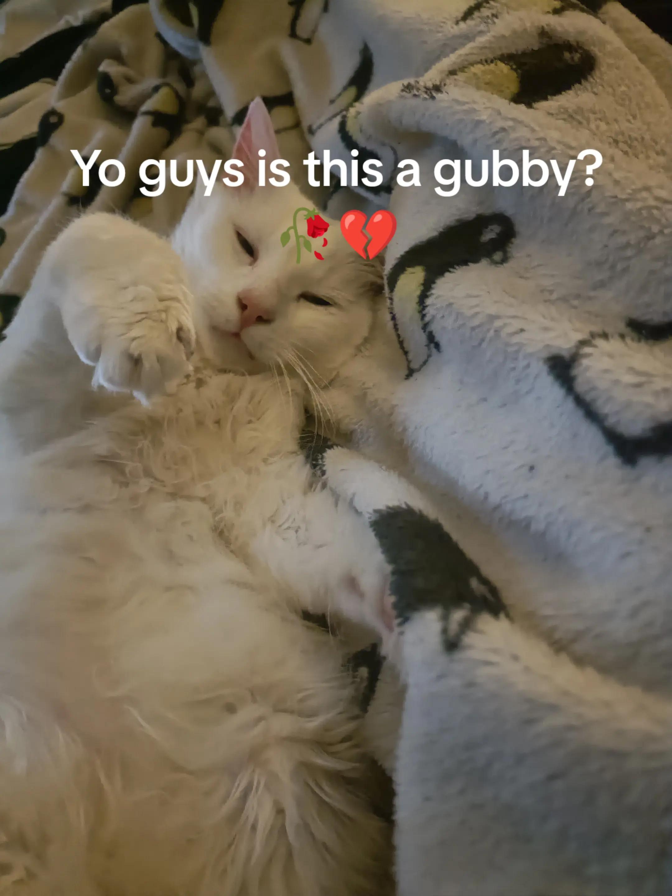 @EKJ