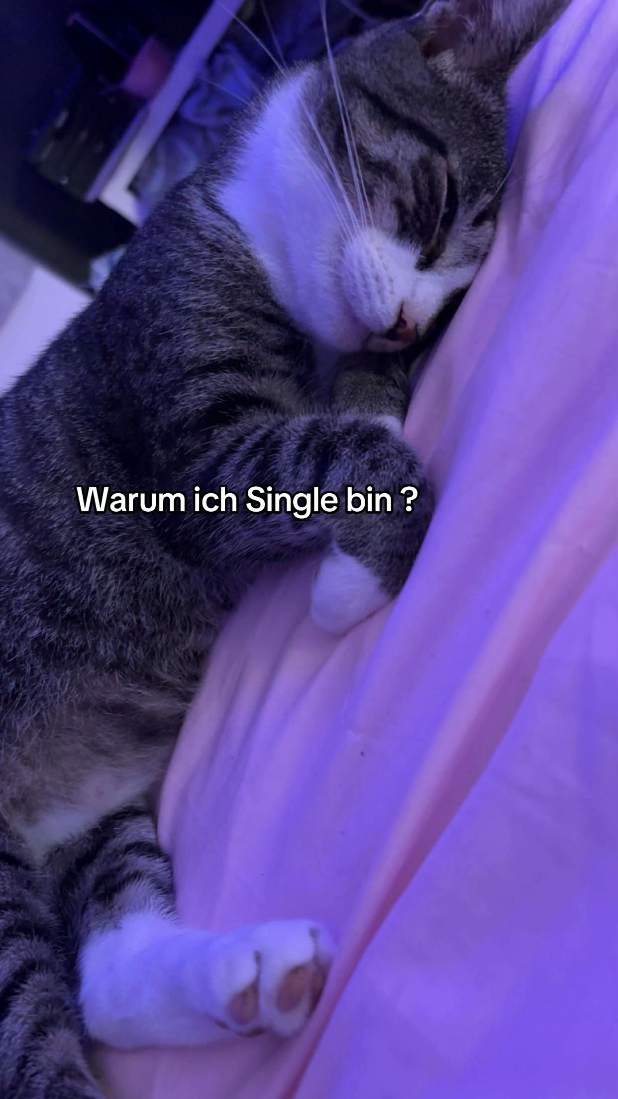 @Nxthxlie04