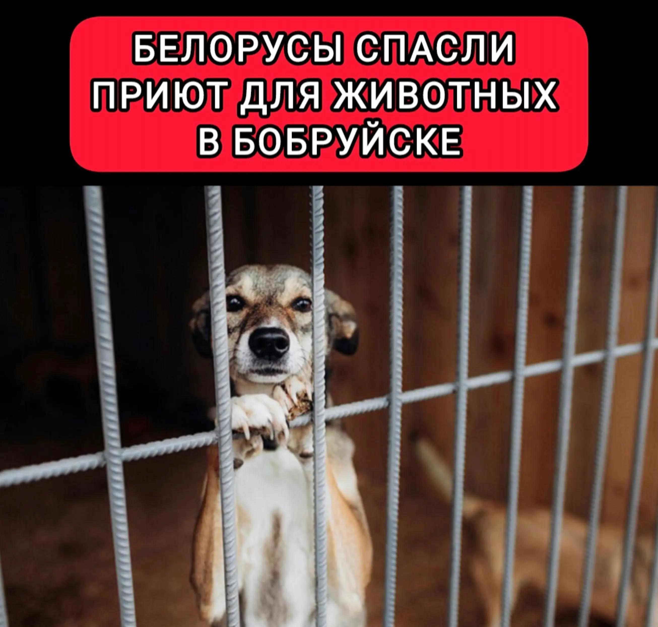 @Будни Беларуси