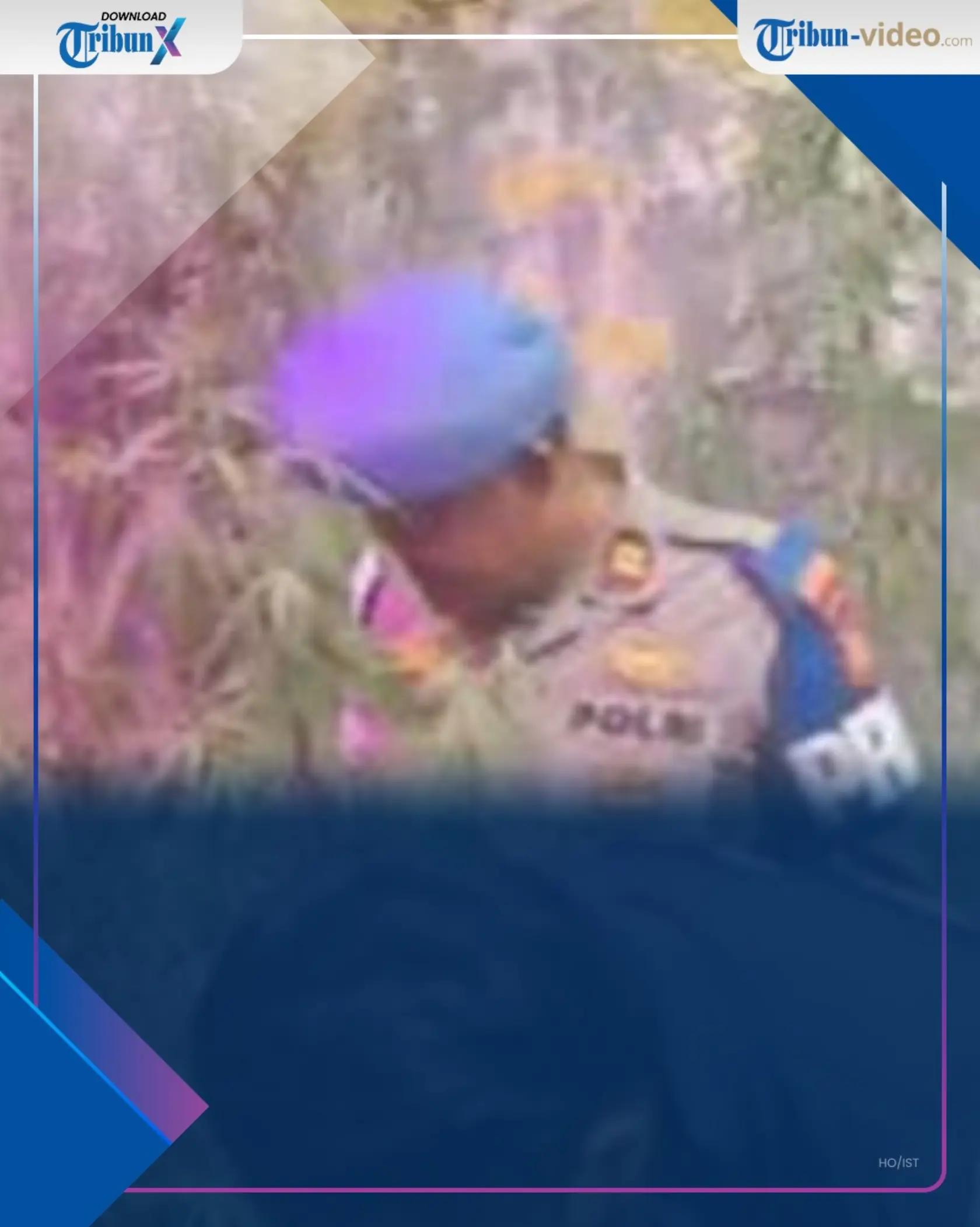 @tribun_video