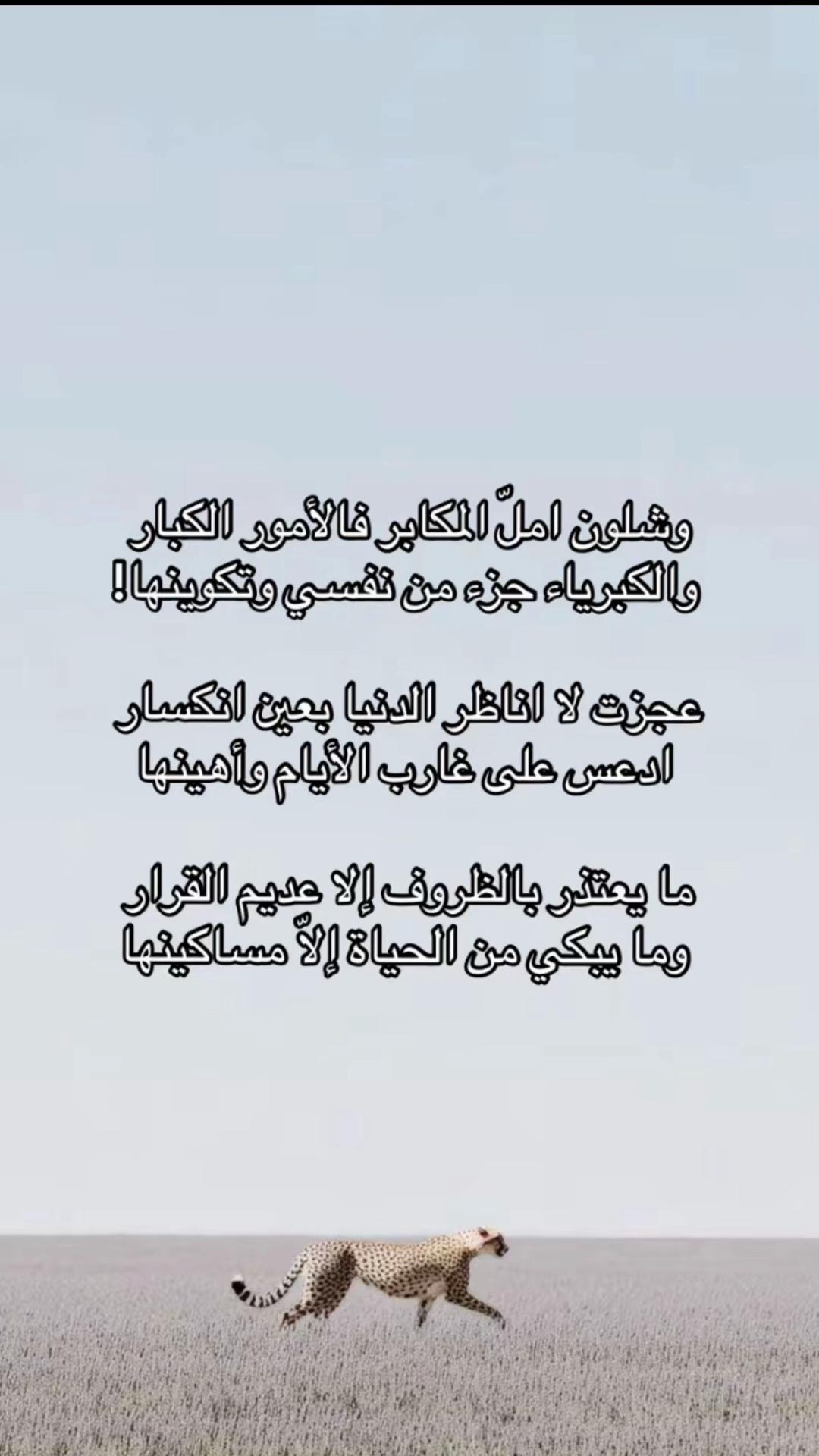 @حجازي