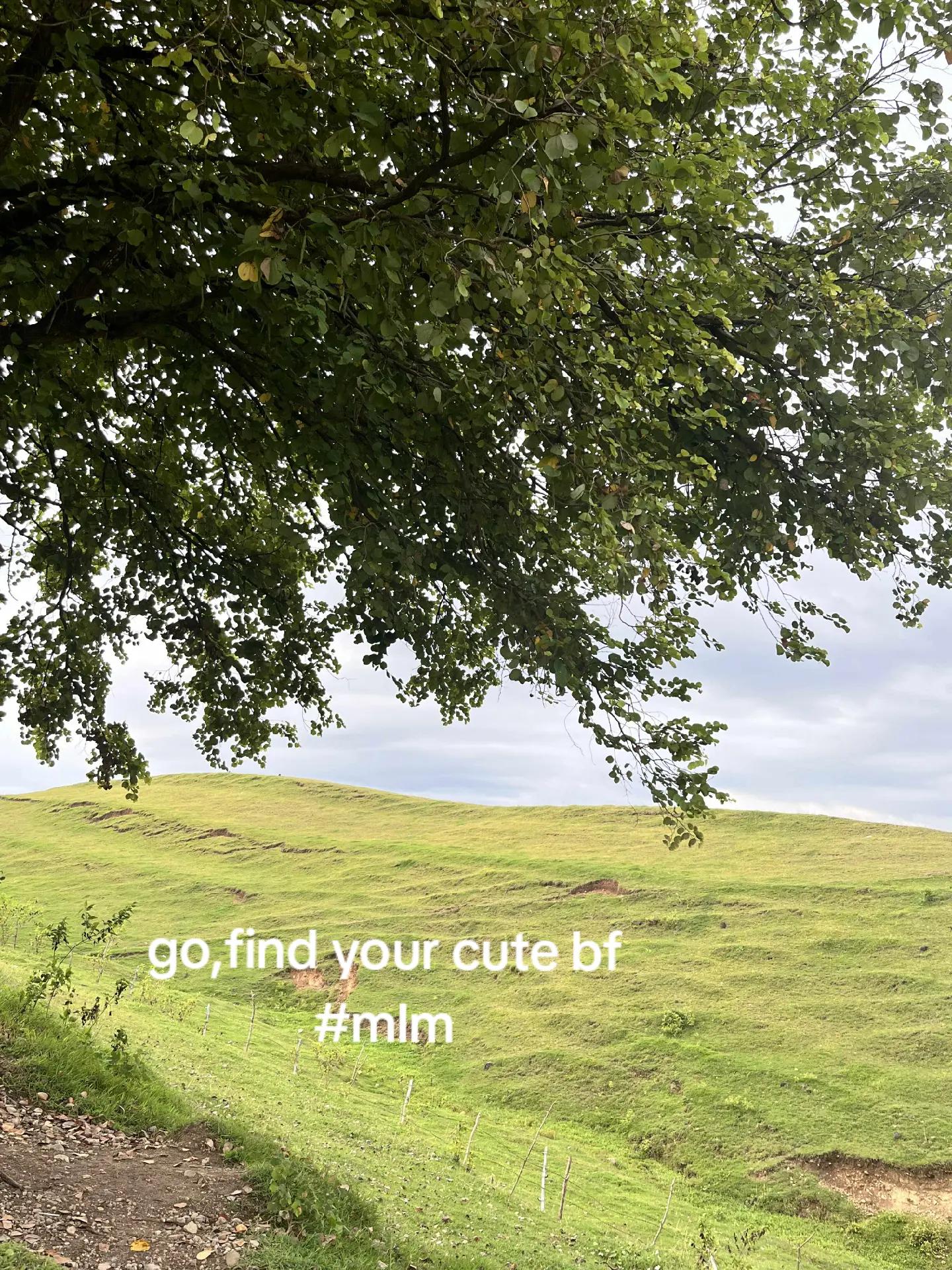 @☘️