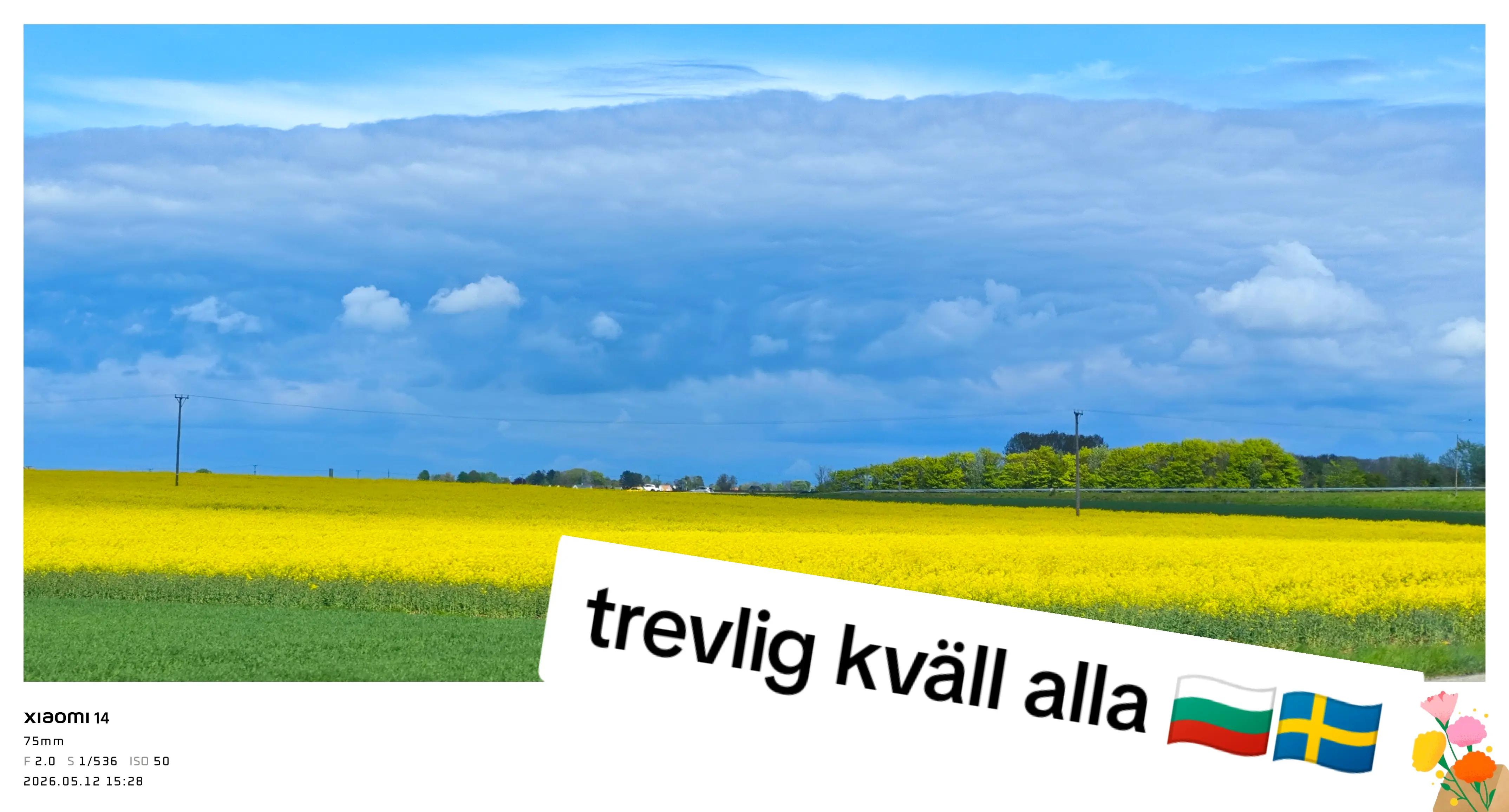 @🇸🇪M.i.K.E 🇸🇪 Sweden 📸