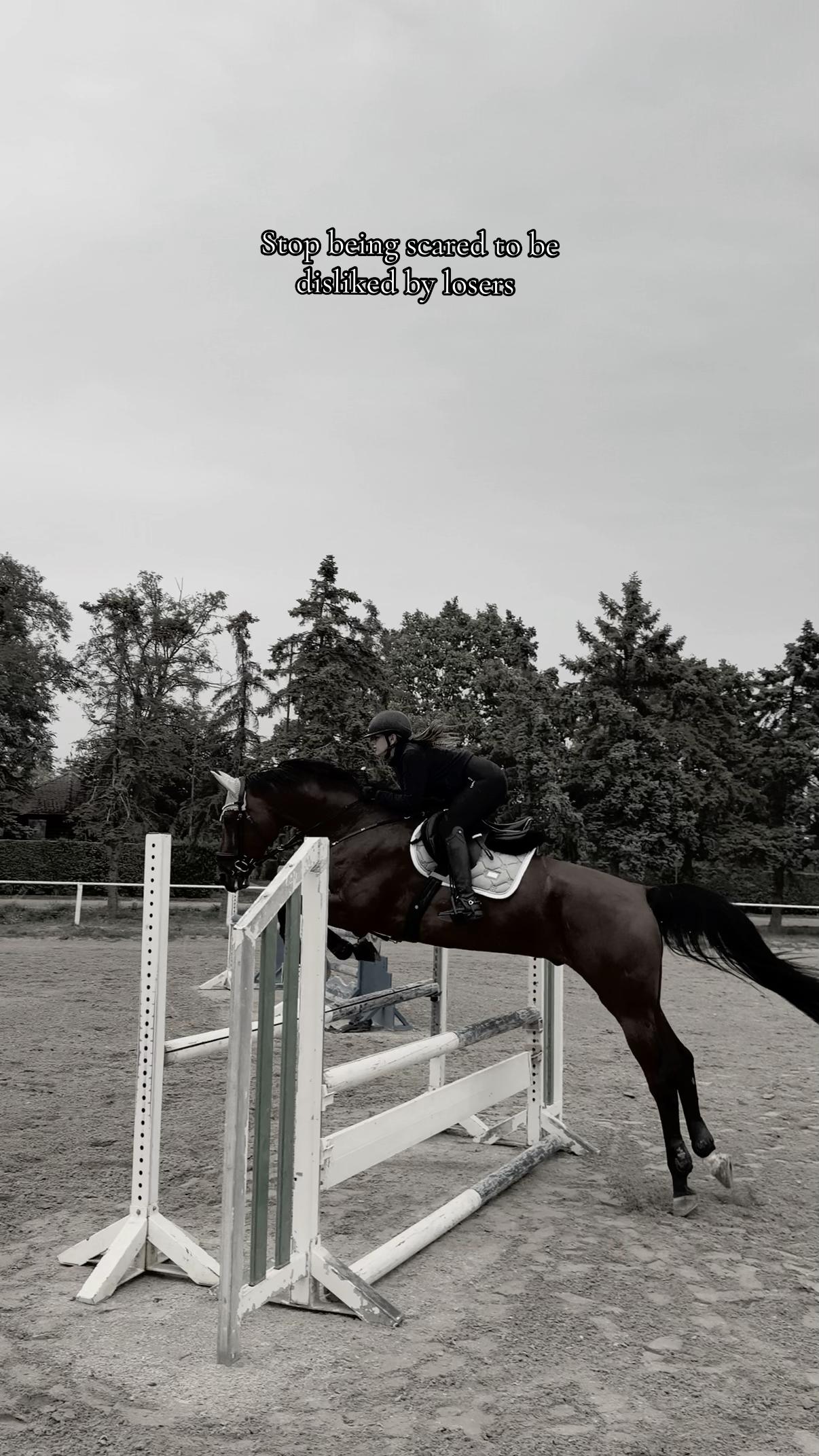 @sophietschi_x_equestrian