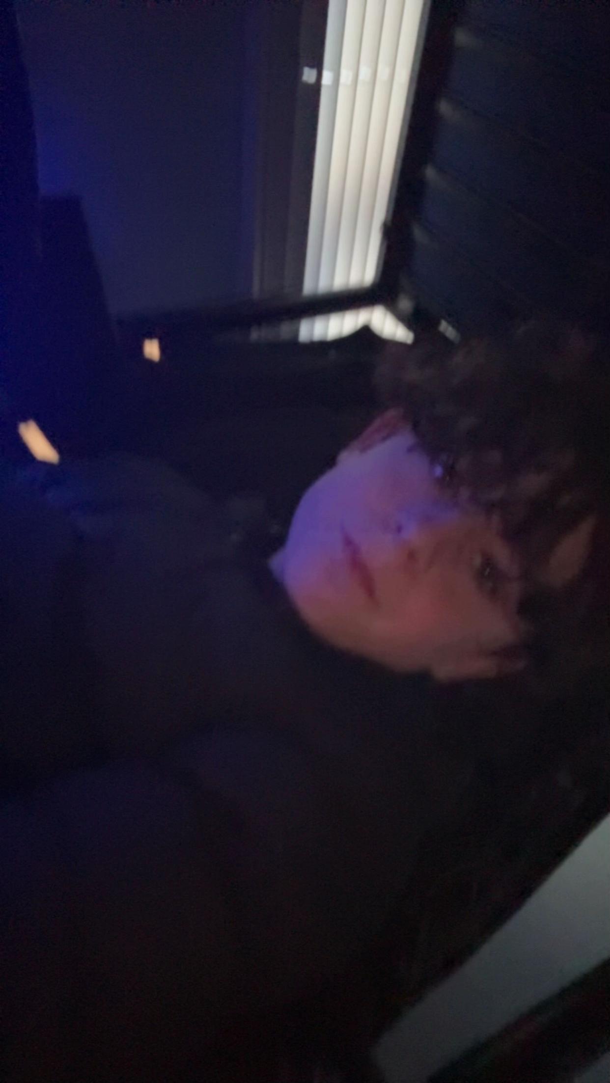 @່🛴