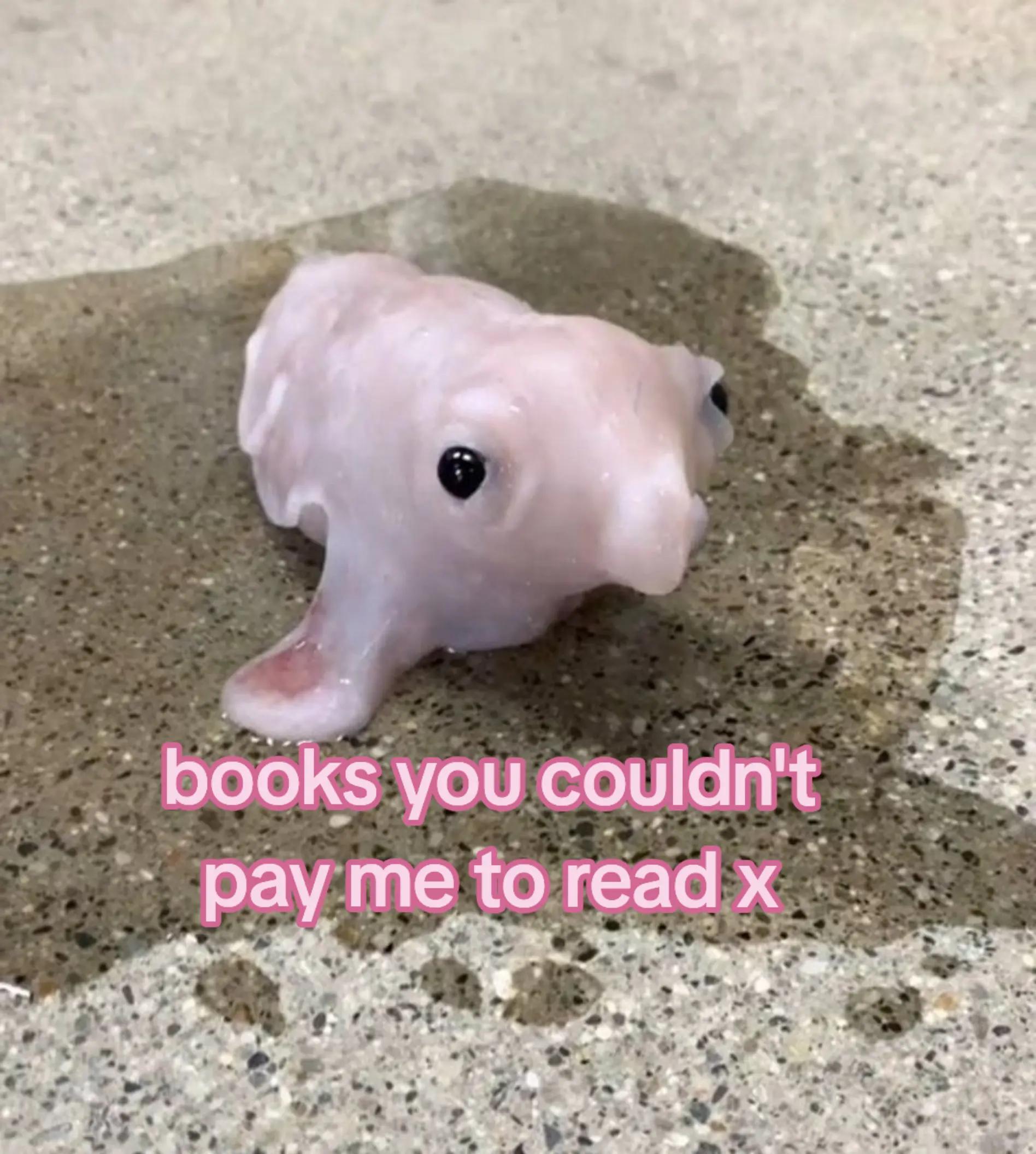 @Stinki