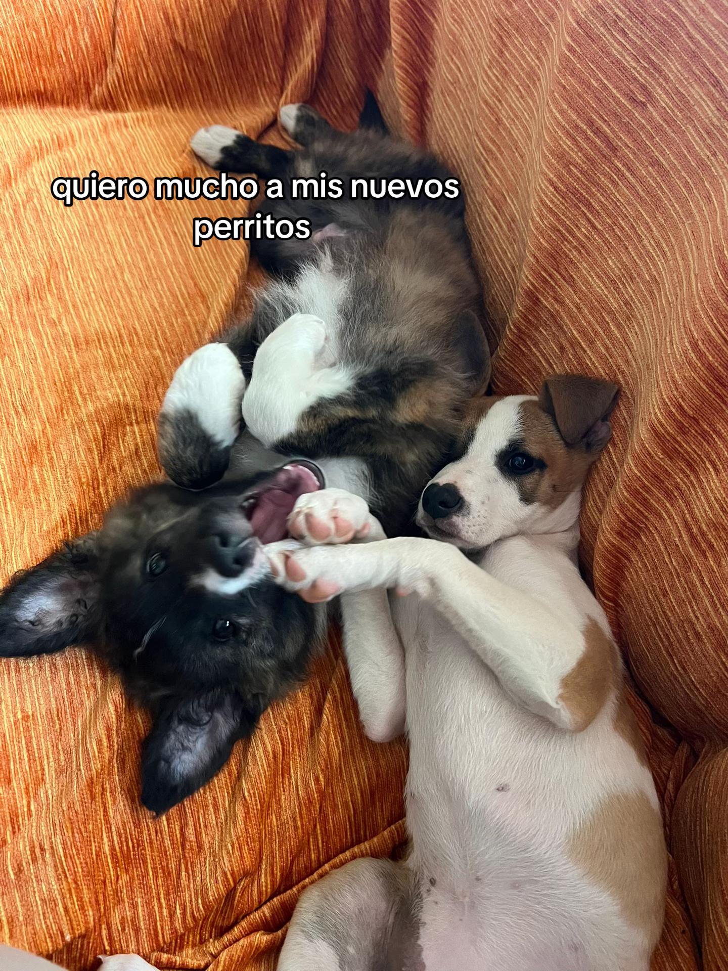 @cande