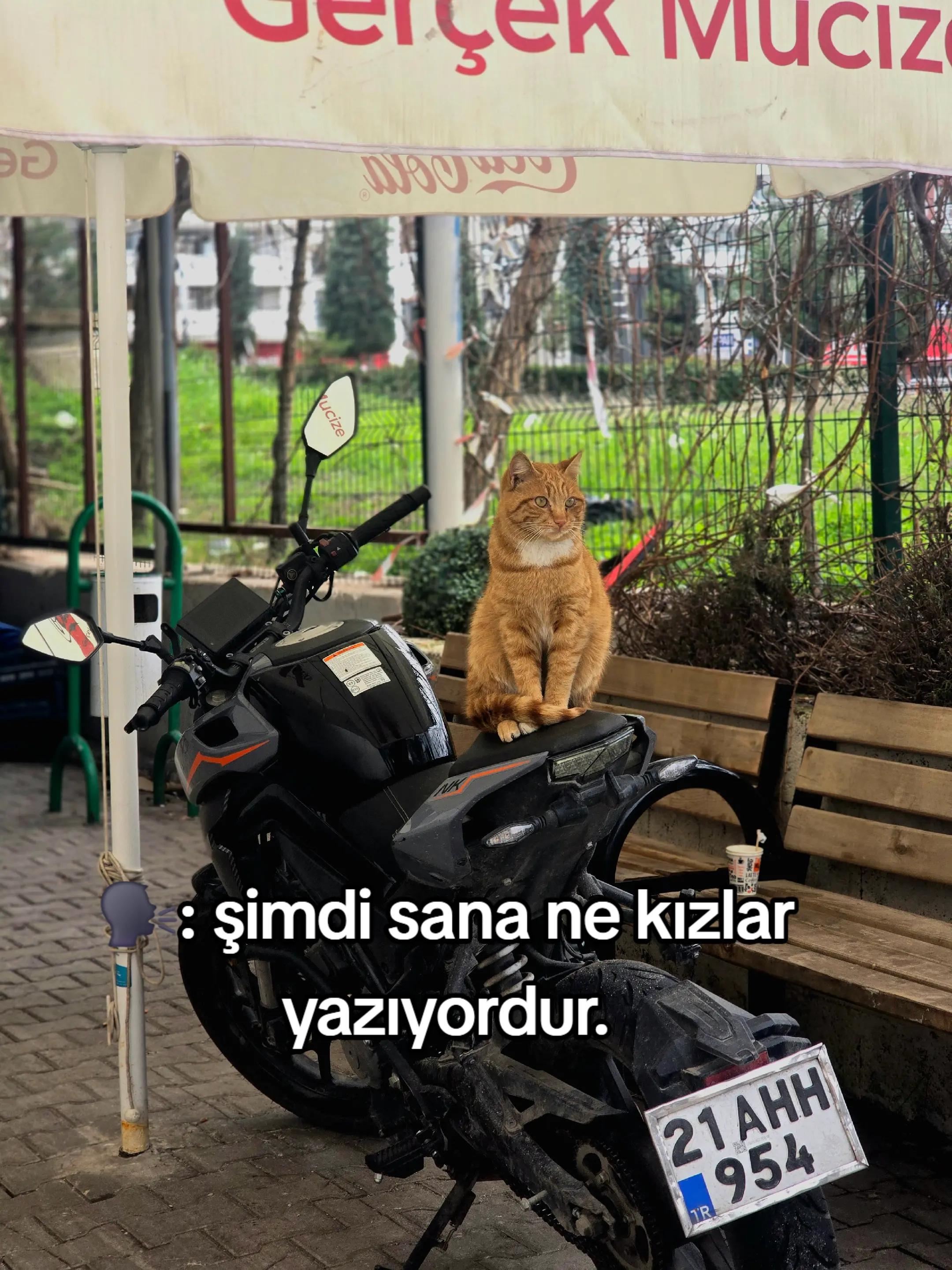 @YM